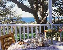 Figtrees Of Kiama B And B - Accommodation Georgetown 0