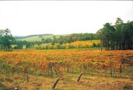 Accommodation Georgetown