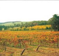 Byramgou Park - Accommodation Georgetown