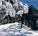 Arlberg Hotel Mt Buller - Accommodation Georgetown