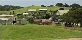 Cape Schanck VIC Accommodation Georgetown