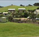 Ace Hi Riding Ranch - Accommodation Georgetown