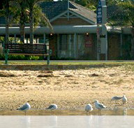 Best Western Coastal Waters Motor Inn - Accommodation Georgetown