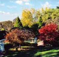 Edgelinks Bed And Breakfast - Accommodation Georgetown