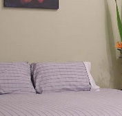 Stingo Hotel - Accommodation Georgetown