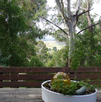 Jindabyne NSW Accommodation Georgetown