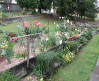  Accommodation Georgetown