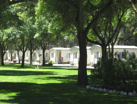 BIG 4 Barossa Tourist Park - Accommodation Georgetown 0
