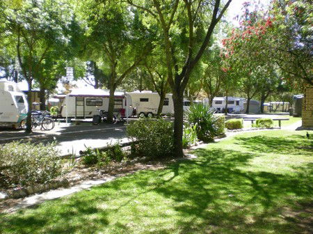 BIG 4 Barossa Tourist Park - Accommodation Georgetown 1
