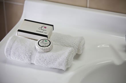 Cumberland Motor Inn - Accommodation Georgetown 7