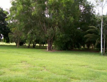 Daly River Mango Farm - Accommodation Georgetown 1