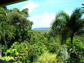 Daintree Manor - Accommodation Georgetown 3