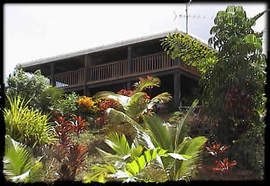Daintree Manor - Accommodation Georgetown 5