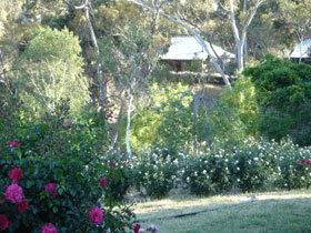 Watervale SA Accommodation Georgetown