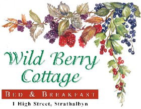Wild Berry Cottage - Accommodation Georgetown 0
