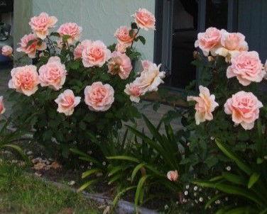 Lot 7 Cottage - Accommodation Georgetown 5