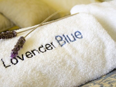 Lavender Blue Country Apartments - Accommodation Georgetown 3