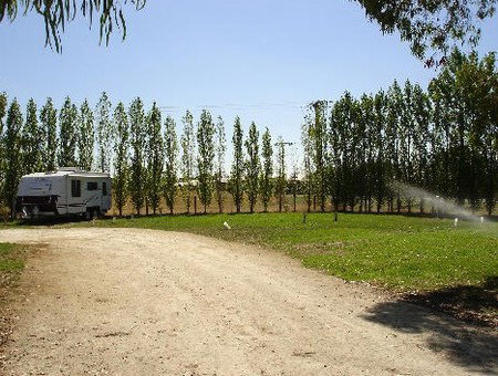 Penola Caravan Park - Accommodation Georgetown 2