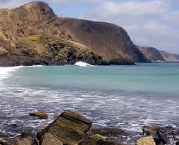 Periwinkles At Second Valley - Accommodation Georgetown 1