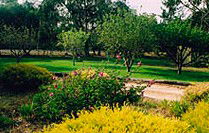 Naracoorte Cottages - Pinkerton Hill - Accommodation Georgetown 2