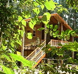 Rivers Edge Rainforest Retreat - Accommodation Georgetown