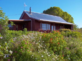 Black River TAS Accommodation Georgetown