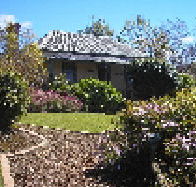Camellia Cottage At Maple Hill - Accommodation Georgetown