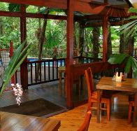 Daintree Wilderness Lodge - Accommodation Georgetown