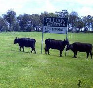 Cluan Homestead - The Managers Residence - Accommodation Georgetown