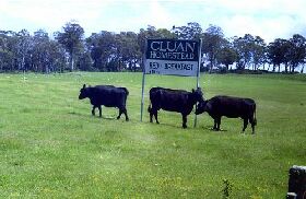 Cluan Homestead - The Managers Residence - Accommodation Georgetown 0