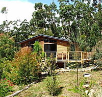 Southern Forest Accommodation - Accommodation Georgetown
