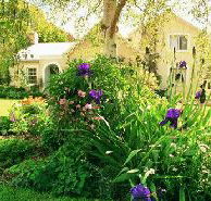 Panshanger - Accommodation Georgetown