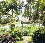 Cherry Park Estate - Accommodation Georgetown