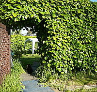 Kirra Guest House - Accommodation Georgetown
