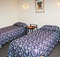 Mt Lyell Motor Inn - Accommodation Georgetown