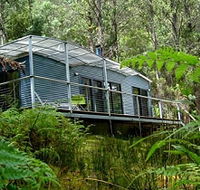 Huon Bush Retreats - Accommodation Georgetown