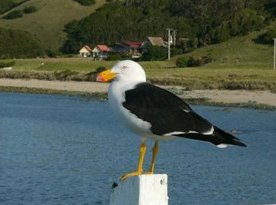 Rocky Glen Retreat By The Beach - Accommodation Georgetown 1