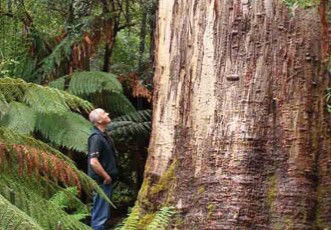 Fingal Hotel - Accommodation Georgetown 5