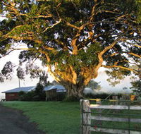 Arley Farm The Old Dairy - Accommodation Georgetown