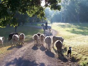 Imbil QLD Accommodation Georgetown