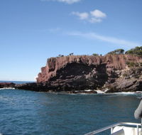 Art on Hart - Accommodation Georgetown