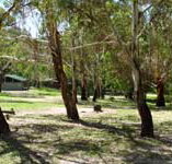 Woods Reserve - Accommodation Georgetown