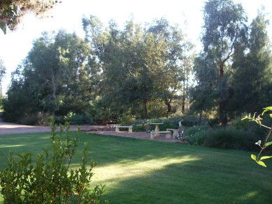 Wilga Park Cottage - Accommodation Georgetown 4