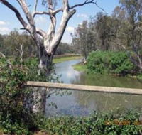 The Shanty Waterside Cottages - Accommodation Georgetown