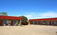 Camellia Motel - thumb 0