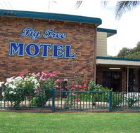 Fig Tree Motel - Accommodation Georgetown