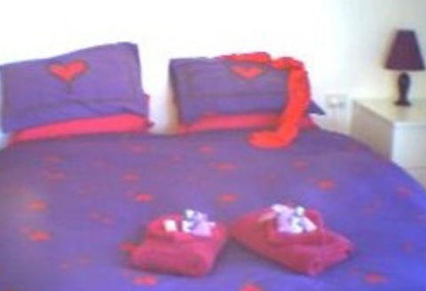 Aloomba Lavender - Accommodation - Accommodation Georgetown 0