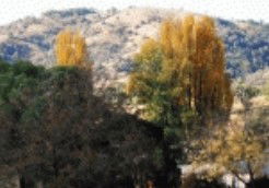 Timbumburi NSW Accommodation Georgetown