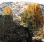 Birches Bed and Breakfast at Nundle - Accommodation Georgetown