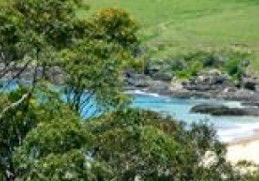 Aqua Bamboo - Accommodation Georgetown 0